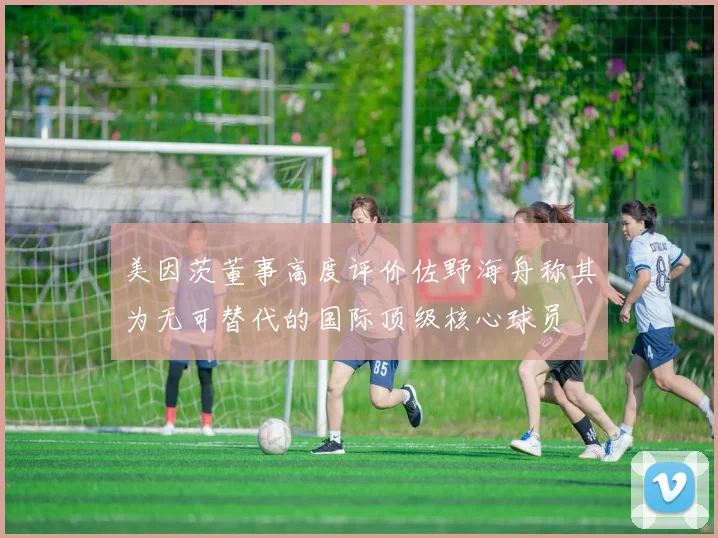 美因茨董事高度评价佐野海舟称其为无可替代的国际顶级核心球员